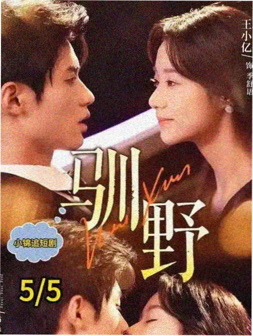 都市题材样本 生活流表演归档图
